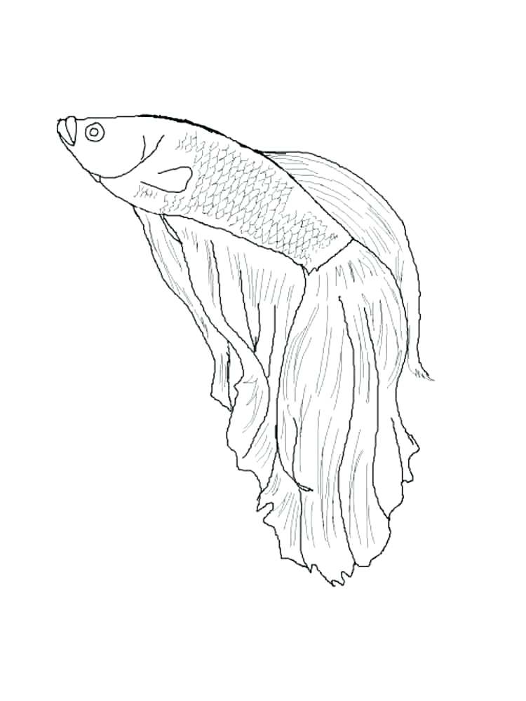 Flying Fish Coloring Page at GetColorings.com | Free printable