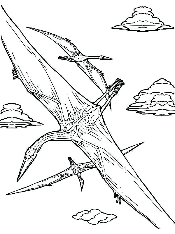 Flying Fish Coloring Page Flying Coloring Page Flying Fish 600x800 Flying Fish Coloring Page Flying Coloring Page Flying Fish