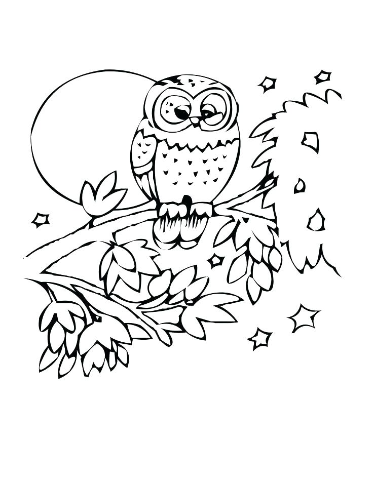 Flying Fish Coloring Page Flying Fish Coloring Page Owl Coloring 736x952 Flying Fish Coloring Page Flying Fish Coloring Page Owl Coloring