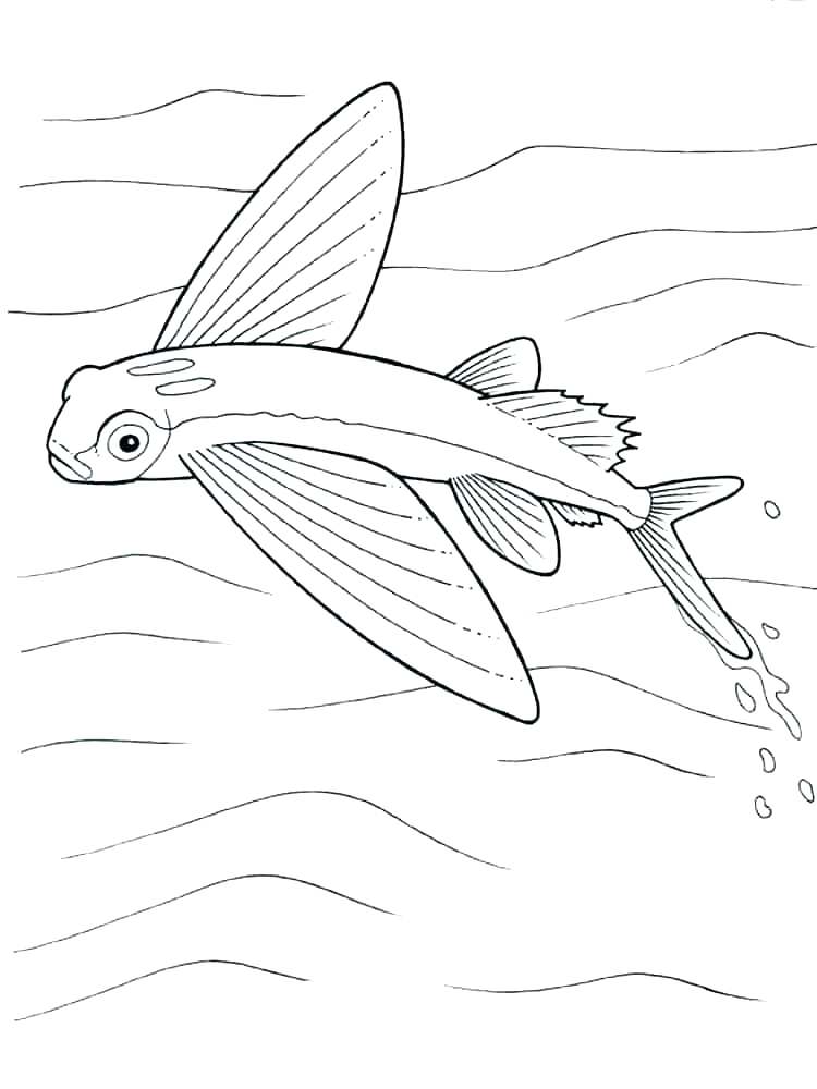 Betta Fish Coloring Pages Printable Fish Coloring Pages Pictures 750x1000 Betta Fish Coloring Pages Printable Fish Coloring Pages Pictures