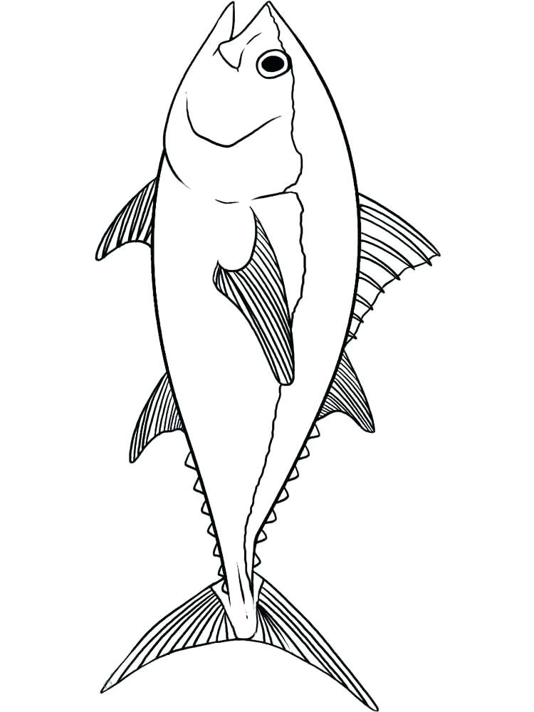 Flying Fish Coloring Page Tuna Coloring Pages 1 Coloring Pages 750x1000 Flying Fish Coloring Page Tuna Coloring Pages 1 Coloring Pages