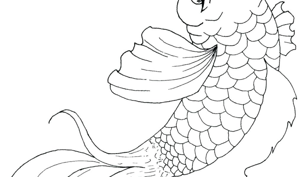 Free Fish Flying Fish Free Tropical Fish Coloring Pages Free 1024x600 Free Fish Flying Fish Free Tropical Fish Coloring Pages Free