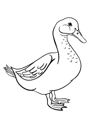 Flying Geese Coloring Pages