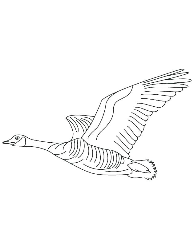 630x810 Goose Coloring Page Goosebumps Coloring Pages Printable Goosebumps