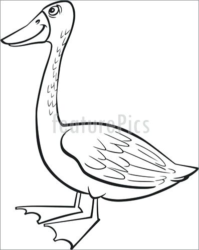 397x500 Goosebumps Coloring Pages Free Picture Of Goose Page