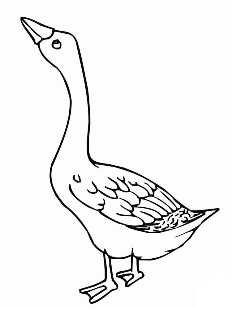 750x1000 Nene Goose Coloring Page. Online Coloring Pages Starting