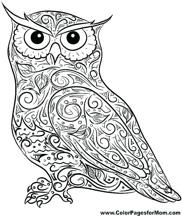 Flying Owl Coloring Pages at GetColorings.com | Free printable ...