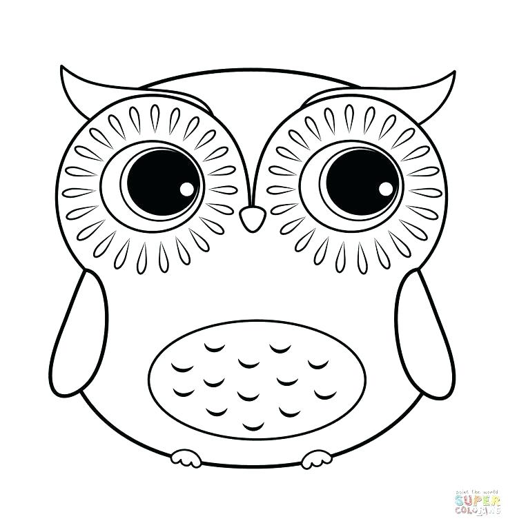 Owl Coloring Page Appealing Cute Owl Coloring Pages For Your Site 736x759 Owl Coloring Page Appealing Cute Owl Coloring Pages For Your Site