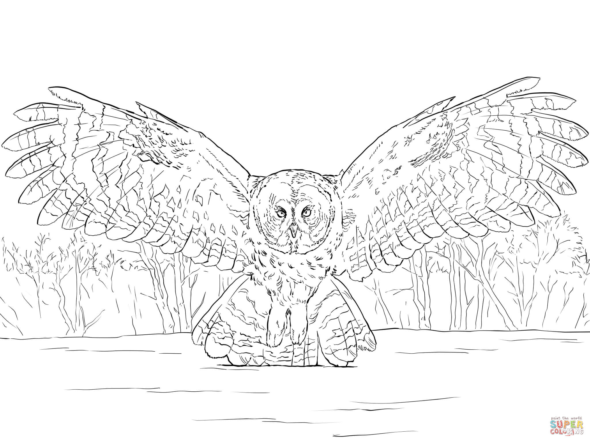 Practical Great Horned Owl Coloring Page Grey Flying Free 2048x1536 Practical Great Horned Owl Coloring Page Grey Flying Free