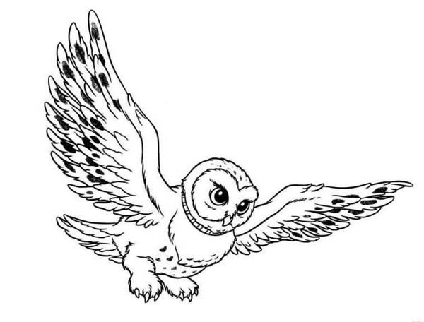 Flying Owl Coloring Page 600x456 Flying Owl Coloring Page
