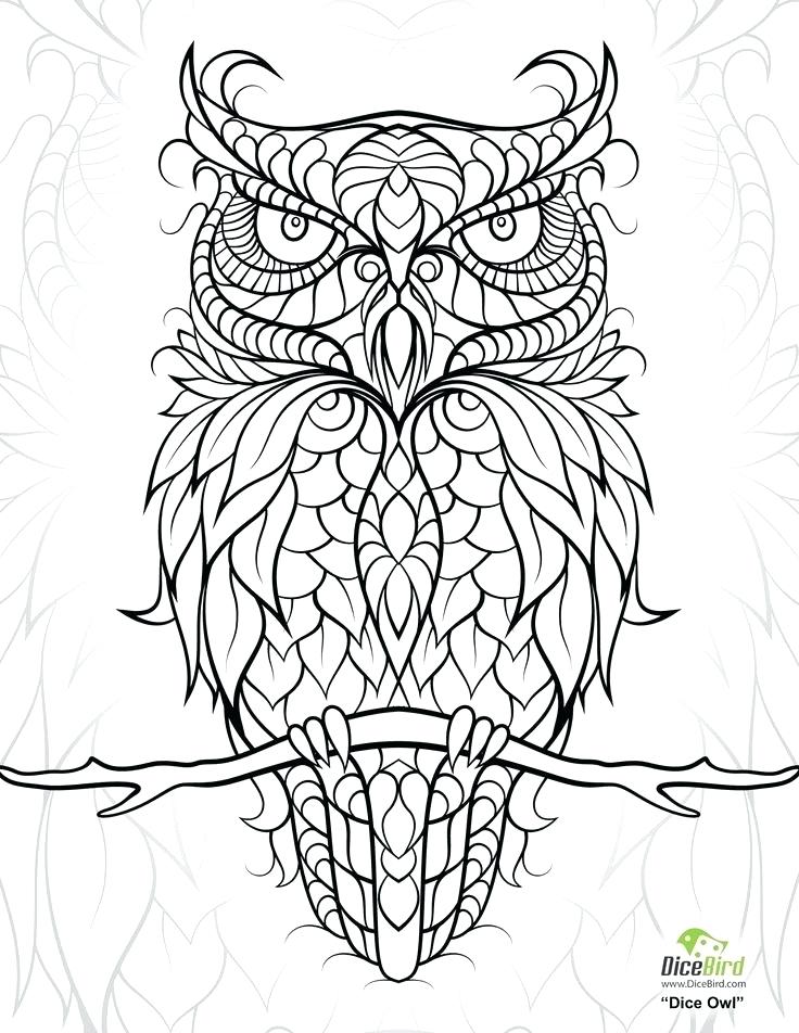 Owl Coloring Pages 736x952 Owl Coloring Pages