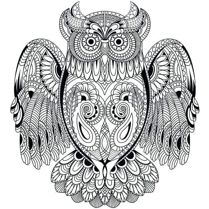 Printable Flying Owl Coloring Pages 736x736 Printable Flying Owl Coloring Pages
