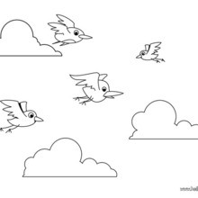 Flying Birds Coloring Pages 220x220 Flying Birds Coloring Pages
