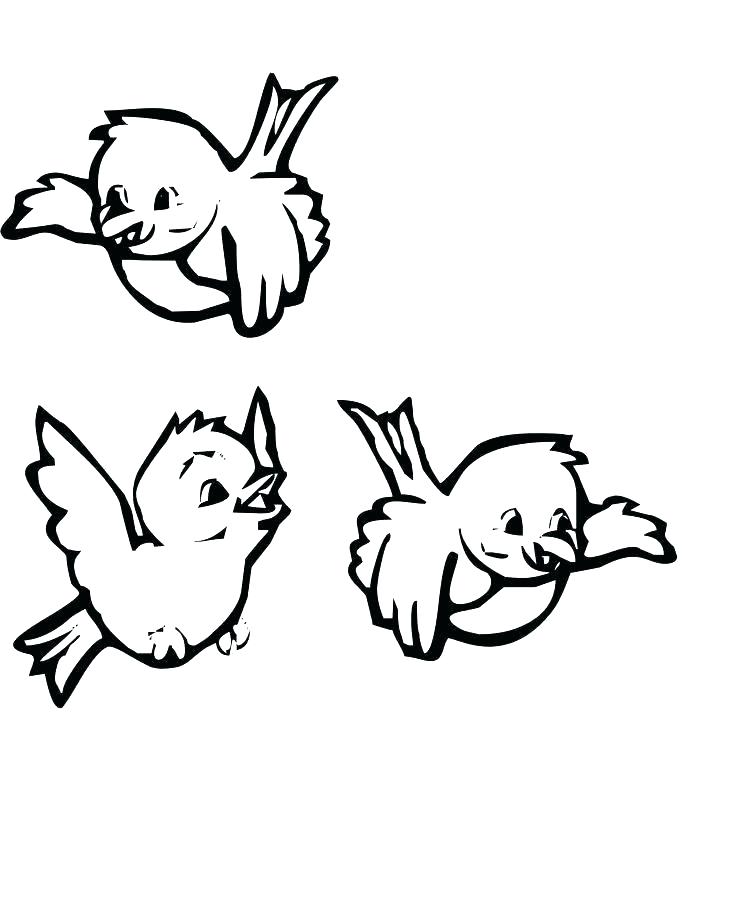 Free Coloring Pages Birds Drug Free Coloring Pages Free Coloring 736x920 Free Coloring Pages Birds Drug Free Coloring Pages Free Coloring