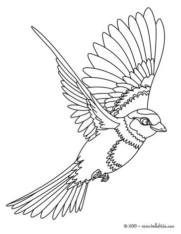 Image Detail For Flying Bird Coloring Page 364x470 Image Detail For Flying Bird Coloring Page