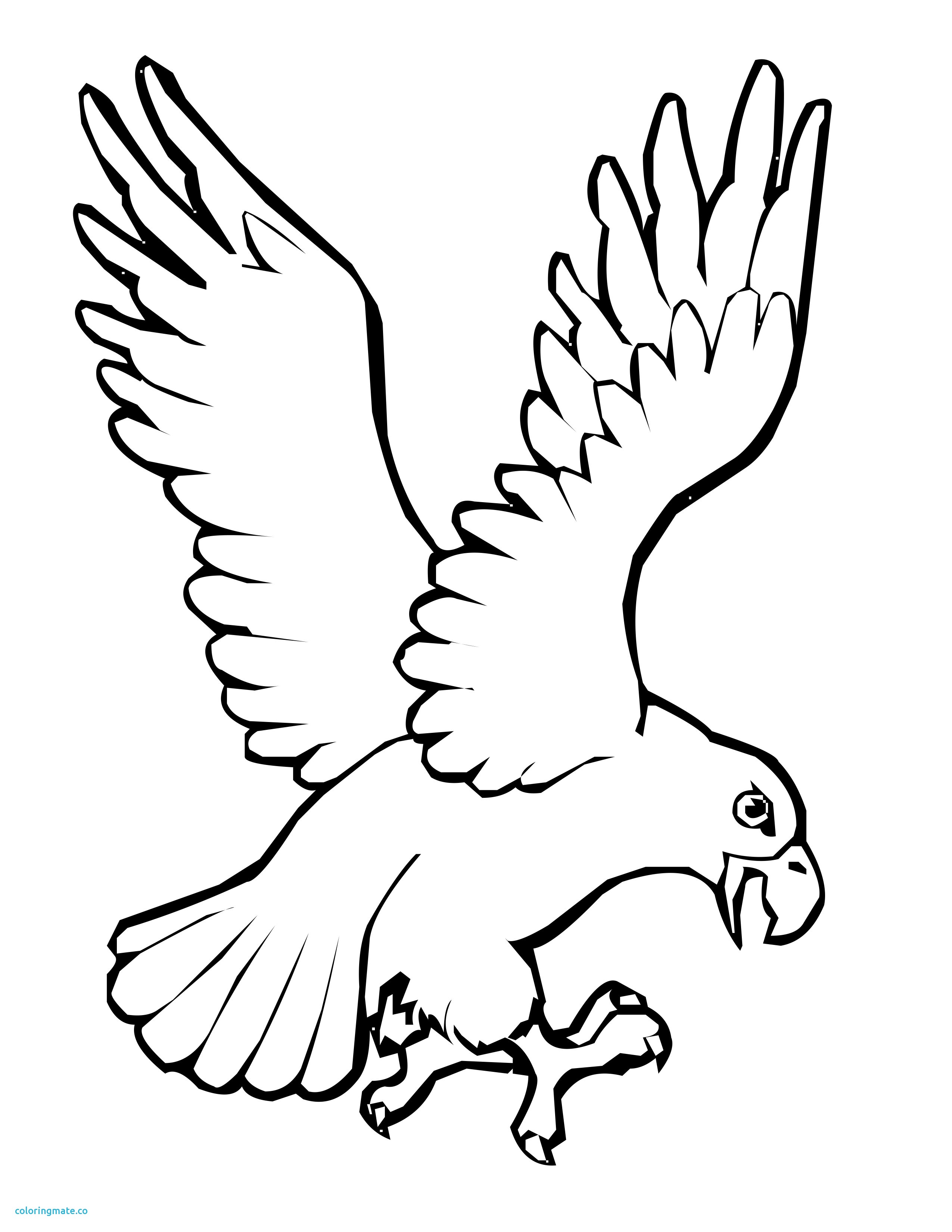 New Birds Coloring Pages Beautiful Bird Flying Pencil Coloring 2550x3300 New Birds Coloring Pages Beautiful Bird Flying Pencil Coloring