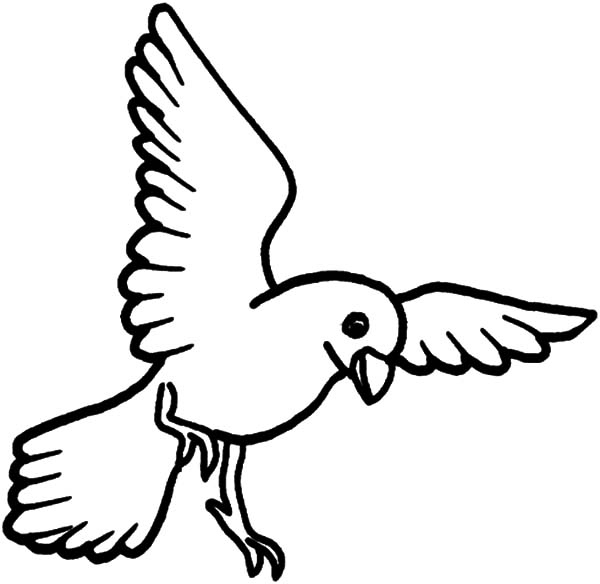 Birds Coloring Pages Beautiful Free Coloring Pages Of Flying Birds 600x584 Birds Coloring Pages Beautiful Free Coloring Pages Of Flying Birds