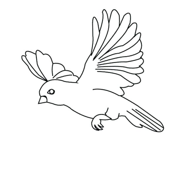 Flying Parrot Coloring Pages at GetColorings.com | Free printable ...
