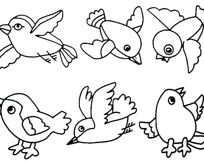 Coloring Pages Birds Free Coloring Pages Birds Coloring Pages 678x538 Coloring Pages Birds Free Coloring Pages Birds Coloring Pages