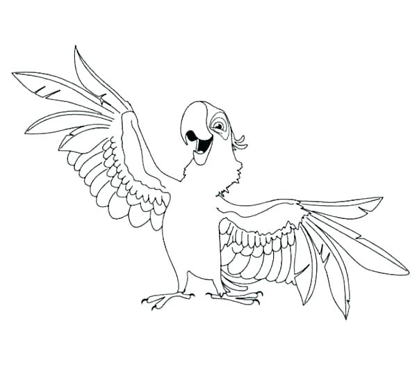 Coloring Pages Of Parrots Parrot Coloring Pages Parrot Coloring 600x525 Coloring Pages Of Parrots Parrot Coloring Pages Parrot Coloring