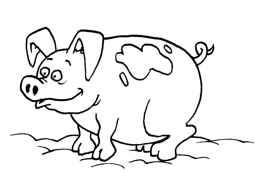 Flying Pig Coloring Pages Pig Coloring Sheet Pig Color Page Pig 875x620 Flying Pig Coloring Pages Pig Coloring Sheet Pig Color Page Pig