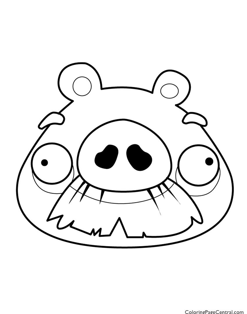Modest Coloringges Pig Magnificent Of Pigeon Guinea Pigs 850x1080 Modest Coloringges Pig Magnificent Of Pigeon Guinea Pigs