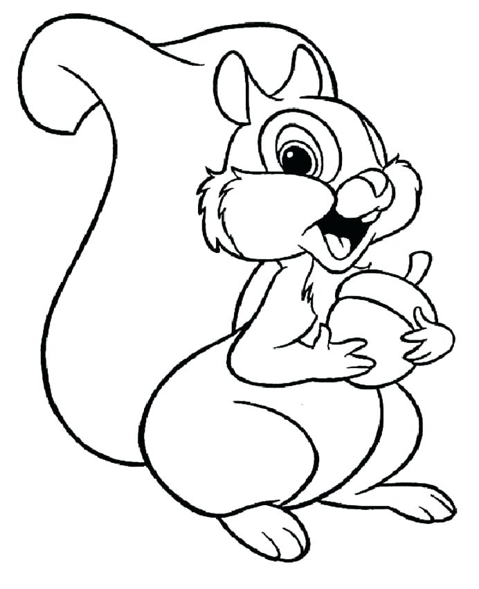 Flying Squirrel Coloring Page