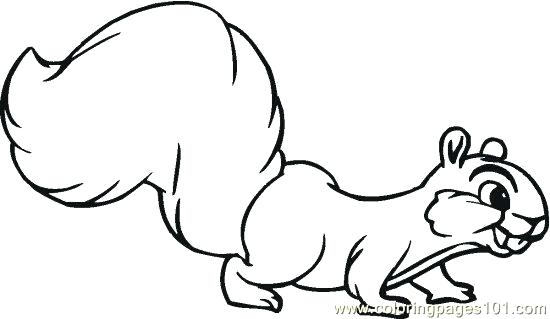 Squirrel Coloring Page Flying Squirrel Coloring Page Free Line Art 550x319 Squirrel Coloring Page Flying Squirrel Coloring Page Free Line Art