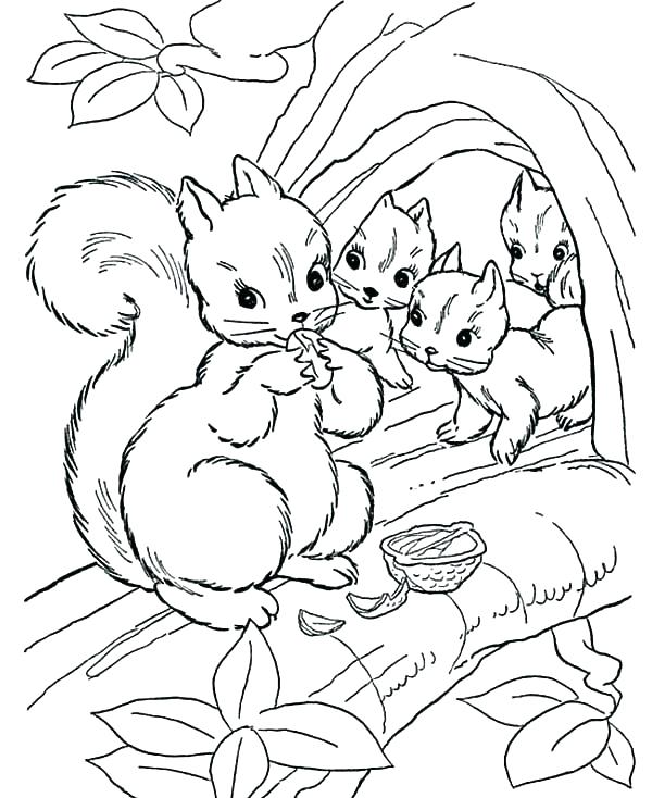 Squirrel Coloring Page Squirrel Coloring Page Printable Flying 600x734 Squirrel Coloring Page Squirrel Coloring Page Printable Flying
