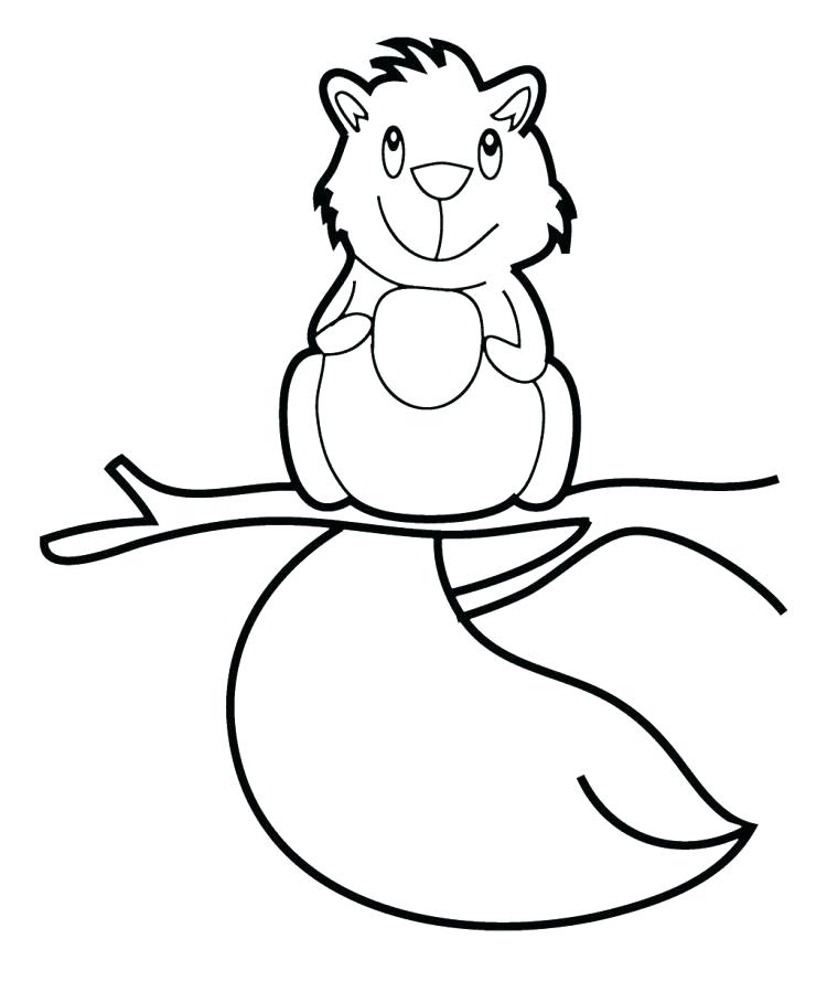 Squirrel Coloring Pages Coloring Pages Of Squirrels Cute Baby 750x899 Squirrel Coloring Pages Coloring Pages Of Squirrels Cute Baby