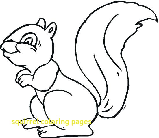 Squirrel Coloring Pages With Flying Squirrel Coloring Page Pin 550x478 Squirrel Coloring Pages With Flying Squirrel Coloring Page Pin