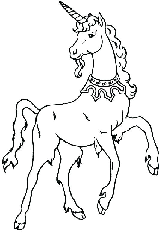 Printable Unicorn Coloring Pages Icontent 531x778 Printable Unicorn Coloring Pages Icontent