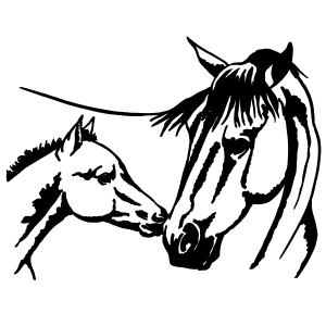 300x300 Horse And Foal Coloring Page