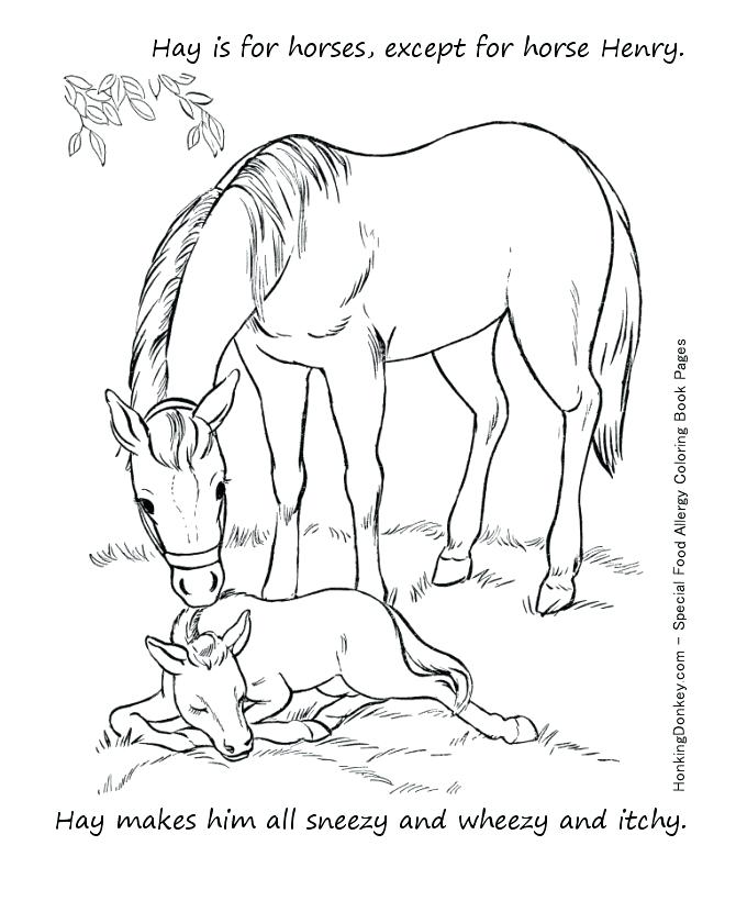 670x820 Mother Horse And Foal Coloring Pages Food Allergy Coloring Page