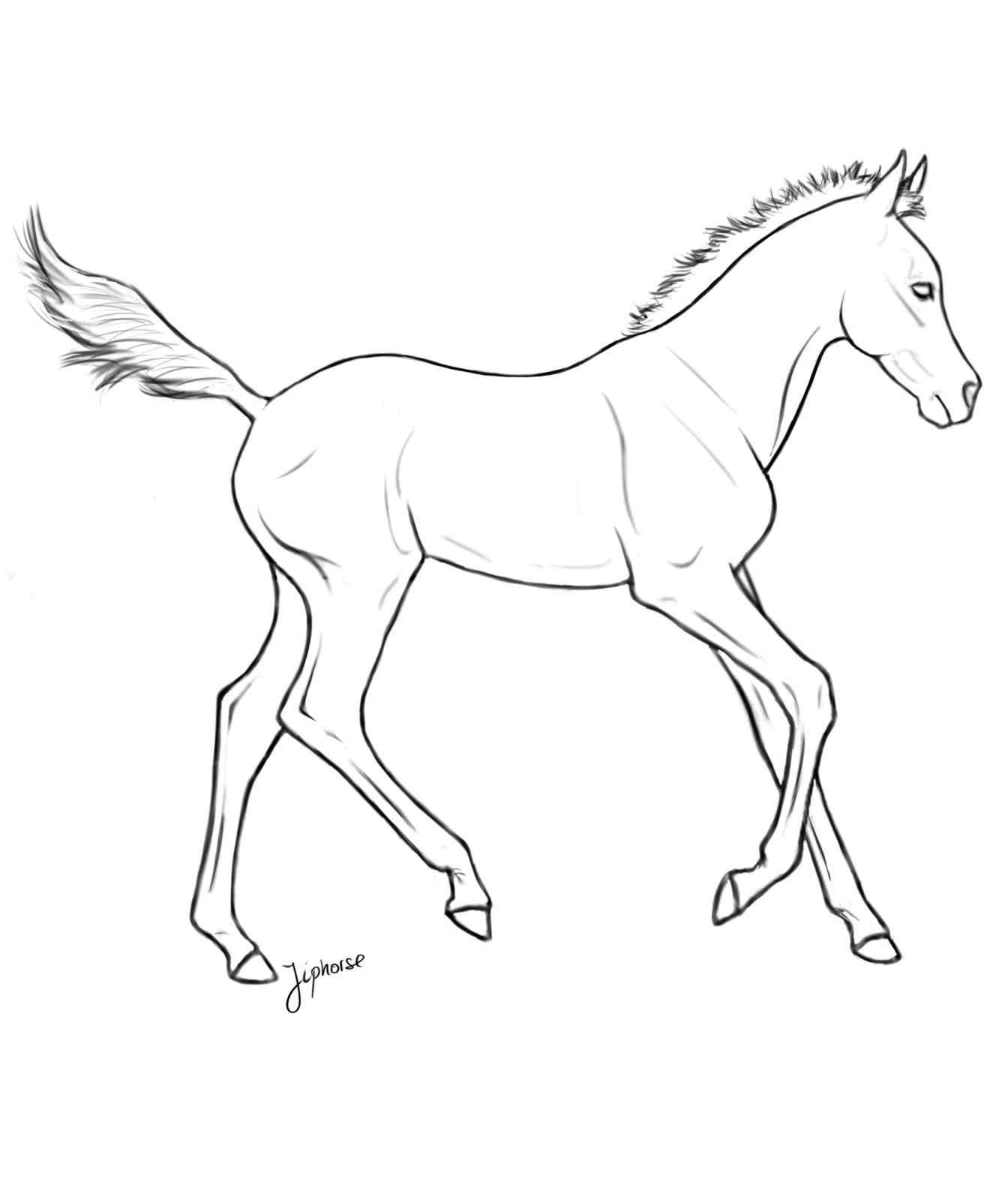 1344x1571 Realistic Foal Coloring Pages Online Coloring Printable