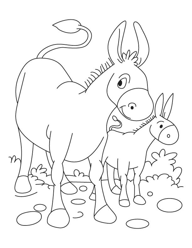 612x792 Donkey Coloring Page Donkey And Foal Coloring Page Donkey Ollie