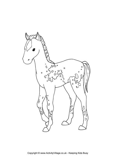 460x650 Foal Colouring Page Foal Coloring Pages