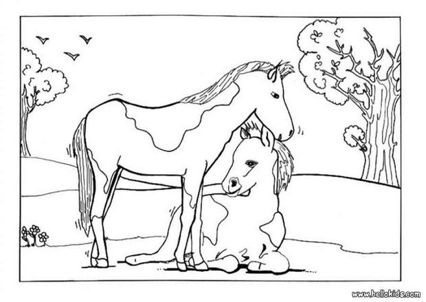 620x439 Foal And Mare Coloring Pages