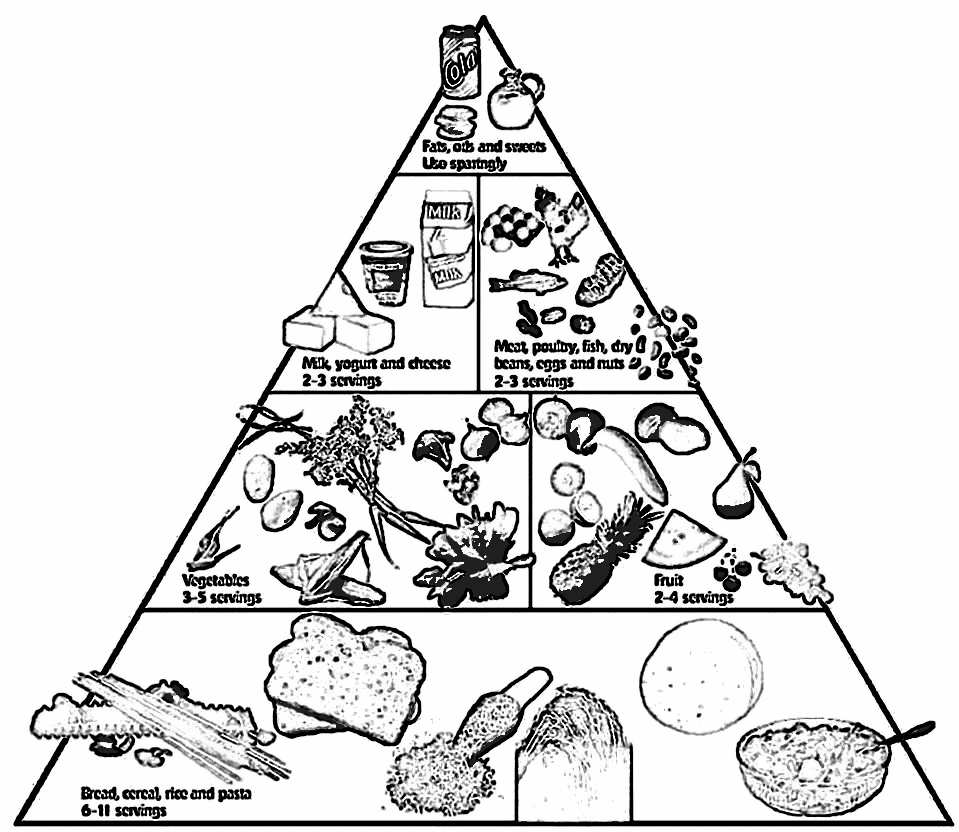 959x832 Food Pyramid Coloring Pages