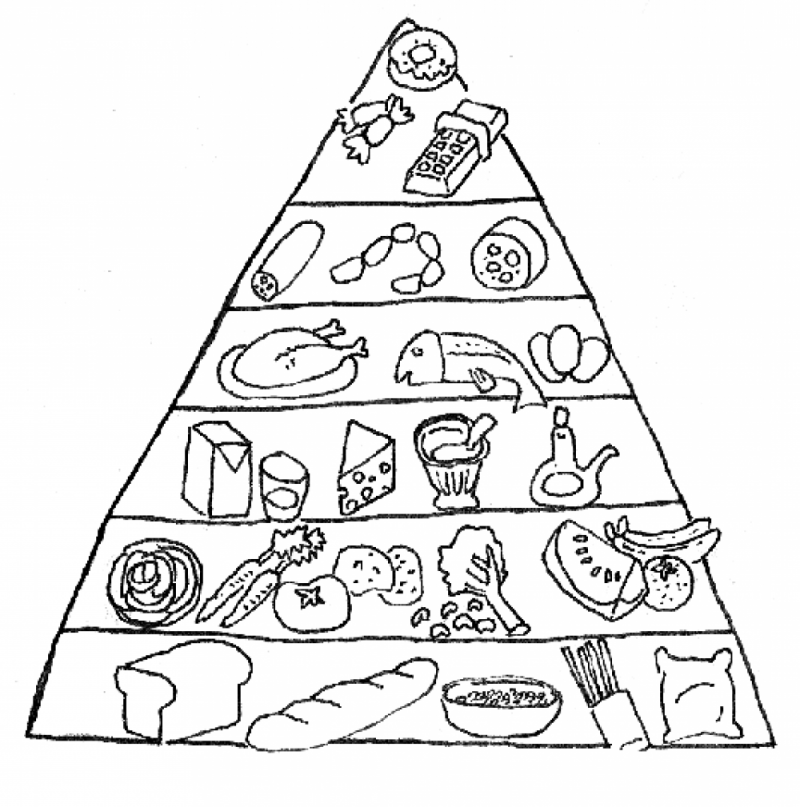 800x807 Food Pyramid Coloring Pages