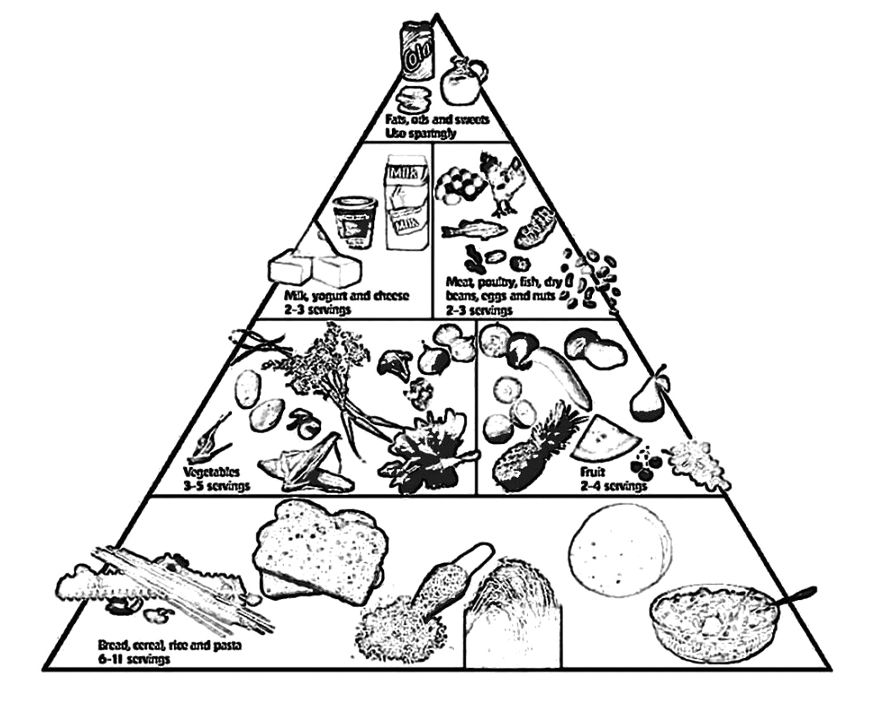 The Food Pyramid With A Drink And Other Coloring Pages Food 870x720 The Food Pyramid With A Drink And Other Coloring Pages Food