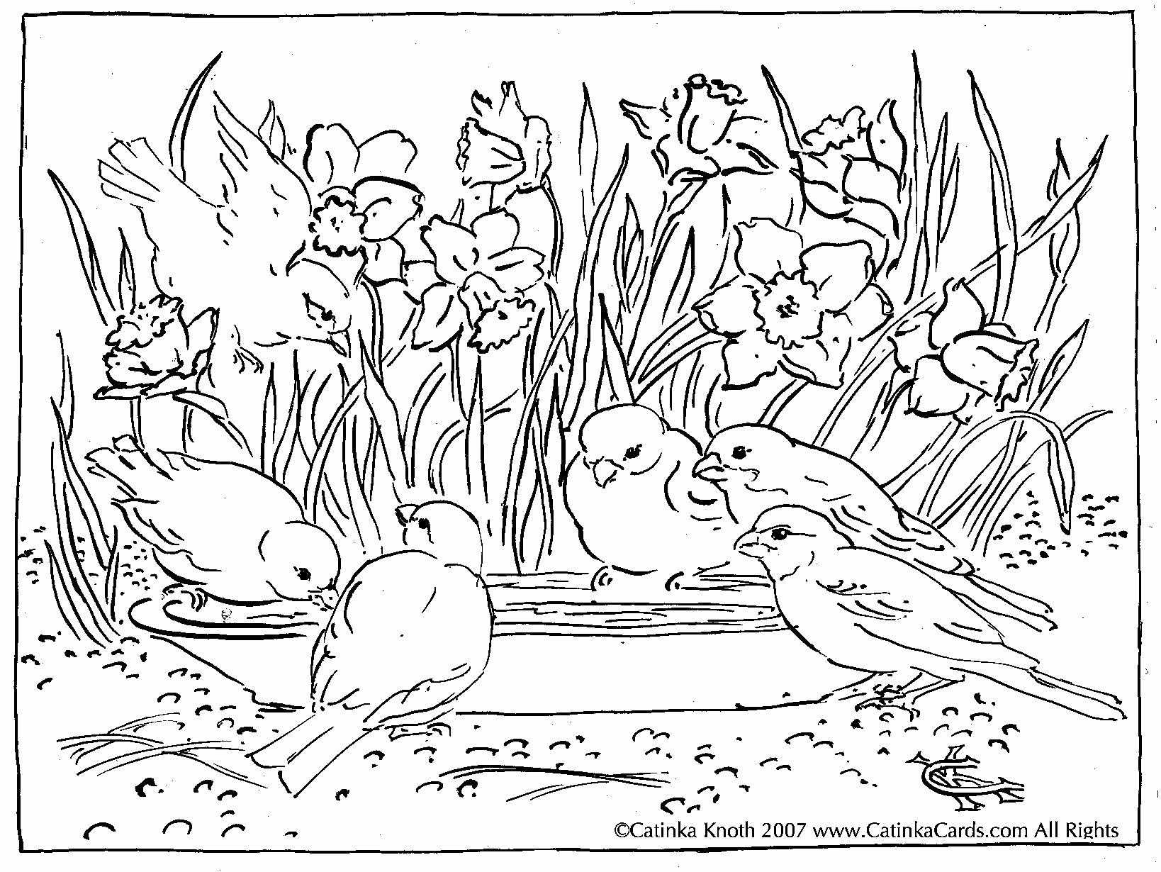 Football Field Coloring Page