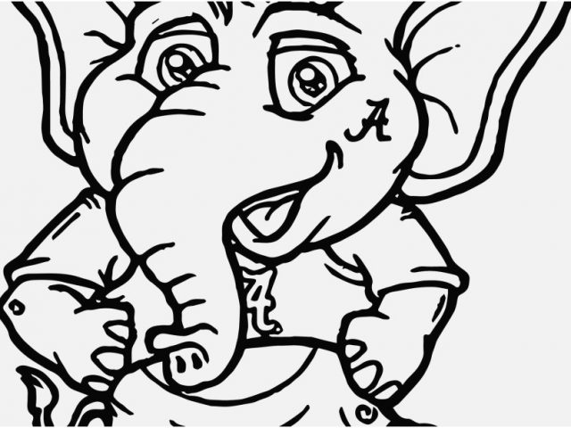 640x480 Denver Broncos Coloring Pages Capture Football Team Coloring Pages