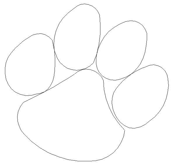 586x560 Footprint Coloring Page Black Bear Tiger Paw Free Pages Black Bear