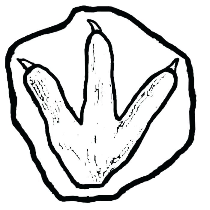 700x700 Footprint Coloring Page Free Coloring Pages Printable Pictures