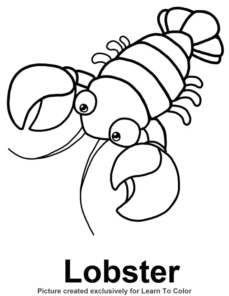 736x952 Footprint Coloring Page Superior Lobster Coloring Page Free