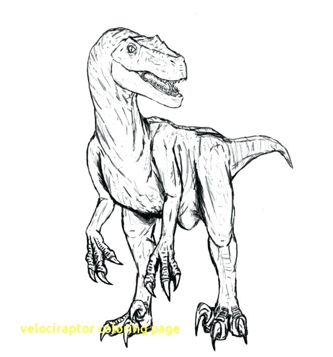663x712 Velociraptor Coloring Pages Coloring Page Coloring Page Park