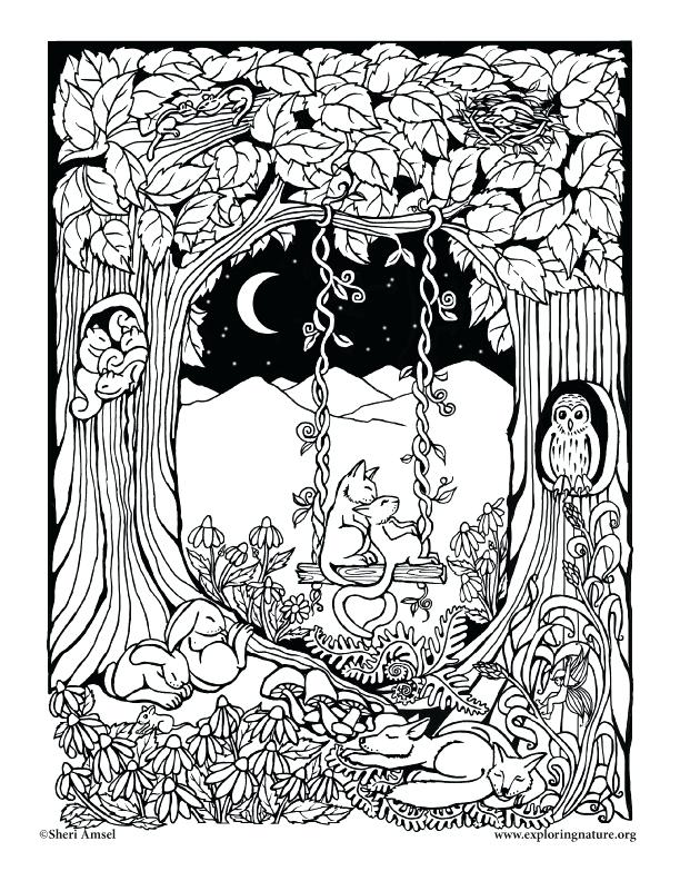 Deciduousest Coloring Page Rainforest Coloring Pages 612x792 Deciduousest Coloring Page Rainforest Coloring Pages