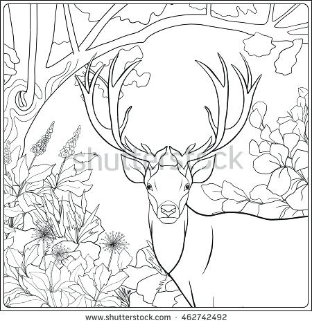 Forest Coloring Page Coloring Page With Deer In Forest Coloring 450x470 Forest Coloring Page Coloring Page With Deer In Forest Coloring