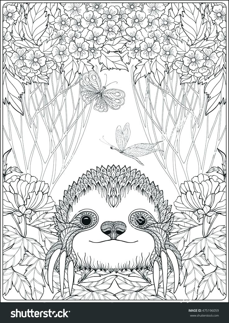 Forest Coloring Page Coloring Page With Lovely Sloth In Forest 736x1035 Forest Coloring Page Coloring Page With Lovely Sloth In Forest